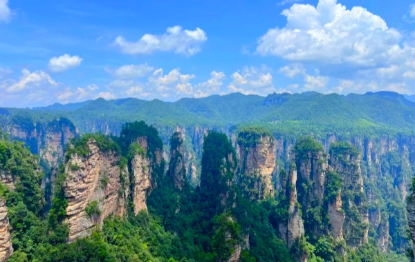 Day 3: Zhangjiajie National Park