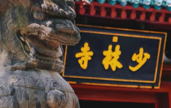 Giorno 3: Luoyang