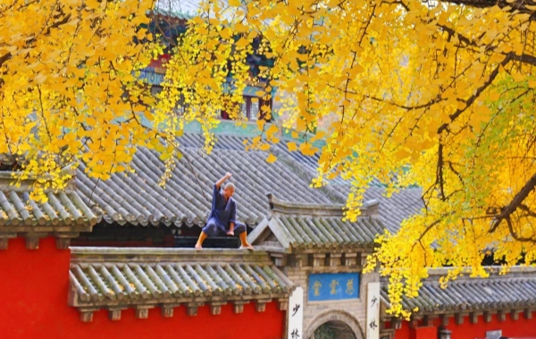 Giorno 3: Luoyang