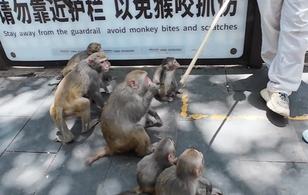 5日目:サンヤ