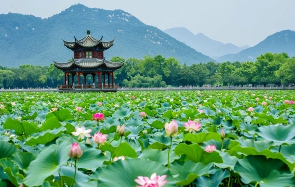 Giorno 1:Hangzhou