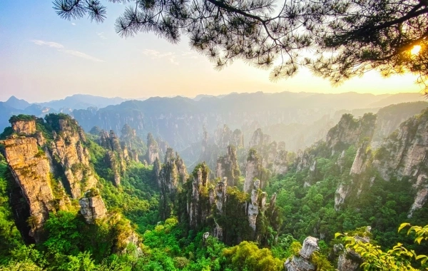 Day 1: Zhangjiajie Arrival