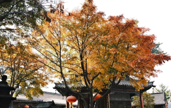 Day 6: Mount Wutai