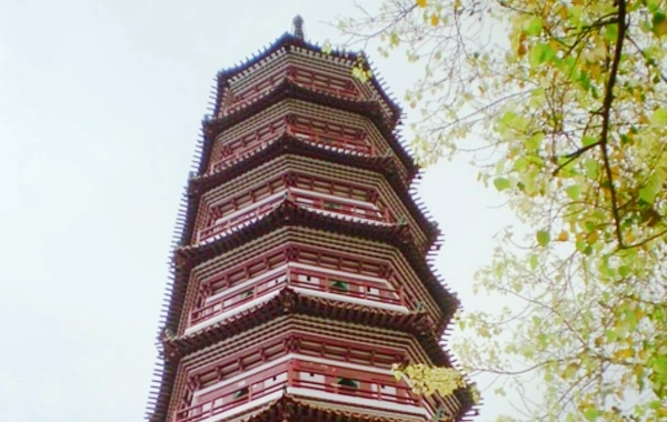 6日目:広州&出発