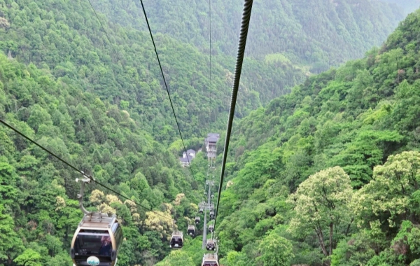 Day 4: Zhangjiajie